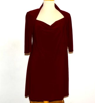 Stretchy Maroon Dress