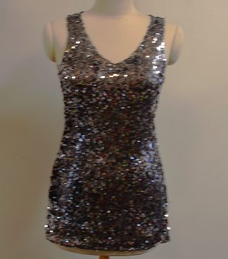 Silver Sleeveless Sheath